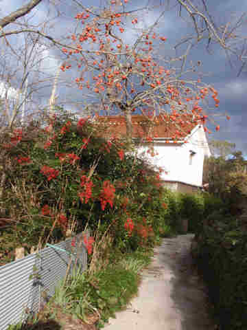 f:id:chuumeikun:20171204001453j:plain f:id:chuumeikun:20171204001453j:plain