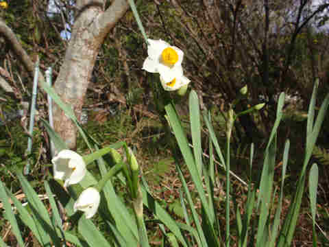 f:id:chuumeikun:20171204001509j:plain f:id:chuumeikun:20171204001509j:plain