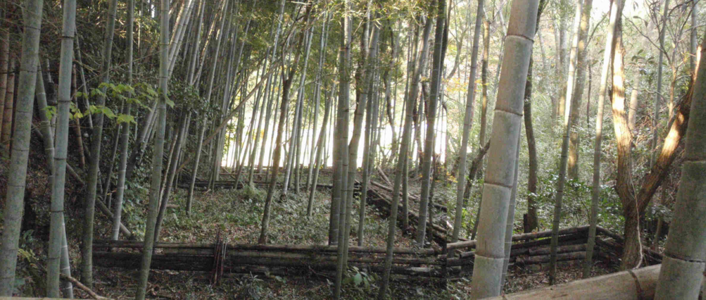 f:id:chuumeikun:20171204001528j:plain f:id:chuumeikun:20171204001528j:plain