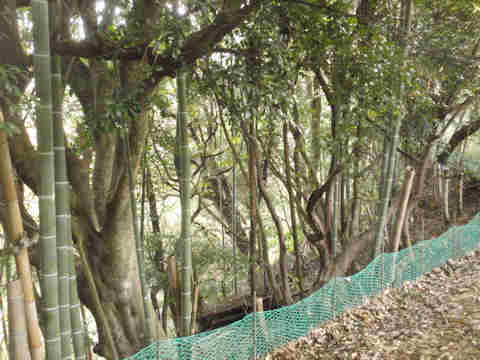 f:id:chuumeikun:20171204001610j:plain f:id:chuumeikun:20171204001610j:plain