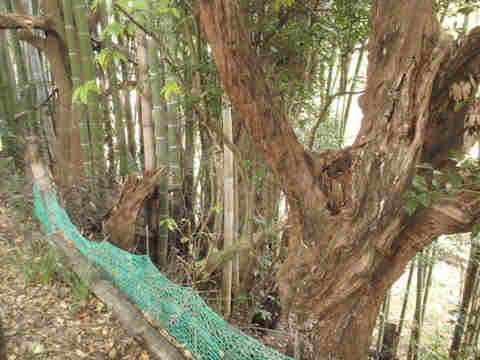 f:id:chuumeikun:20171204001646j:plain f:id:chuumeikun:20171204001646j:plain