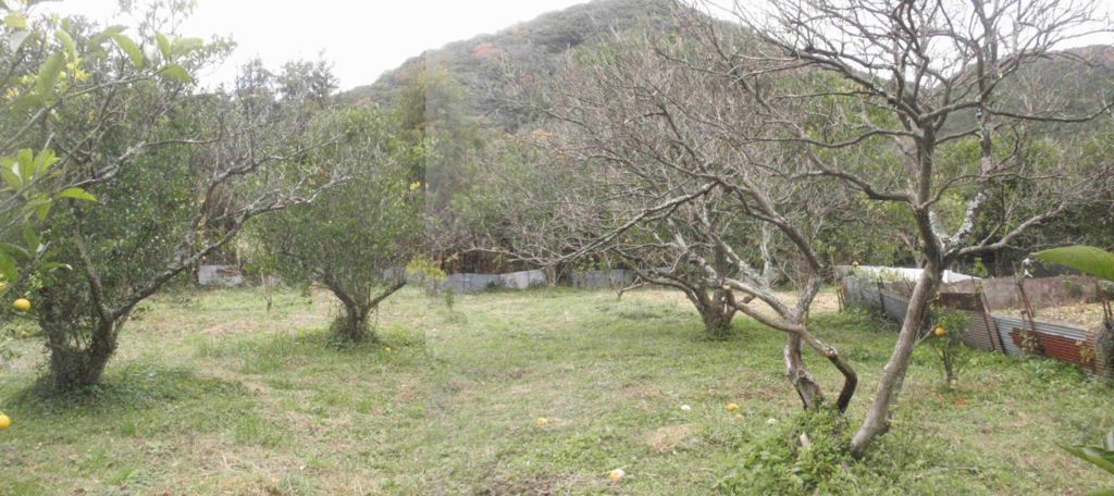 f:id:chuumeikun:20171205193150j:plain