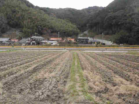 f:id:chuumeikun:20171215222936j:plain