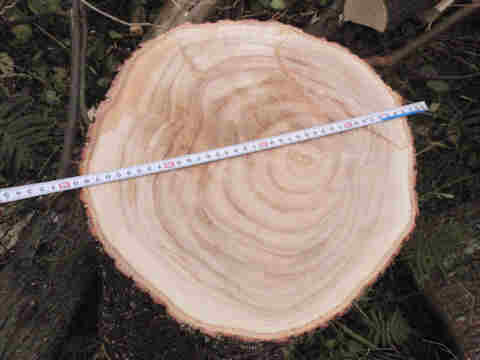 f:id:chuumeikun:20171215225851j:plain