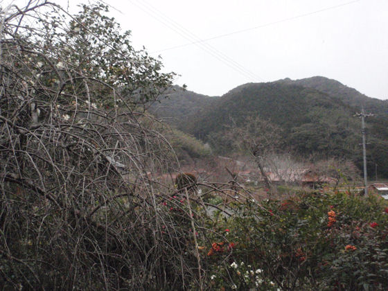 f:id:chuumeikun:20180123201103j:plain f:id:chuumeikun:20180123201103j:plain