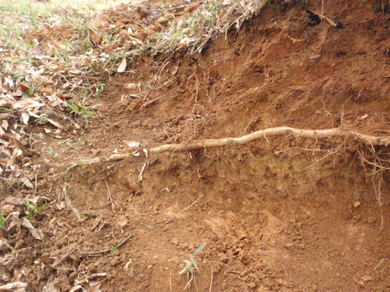 f:id:chuumeikun:20180201002753j:plain