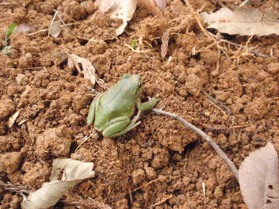 f:id:chuumeikun:20180201002812j:plain