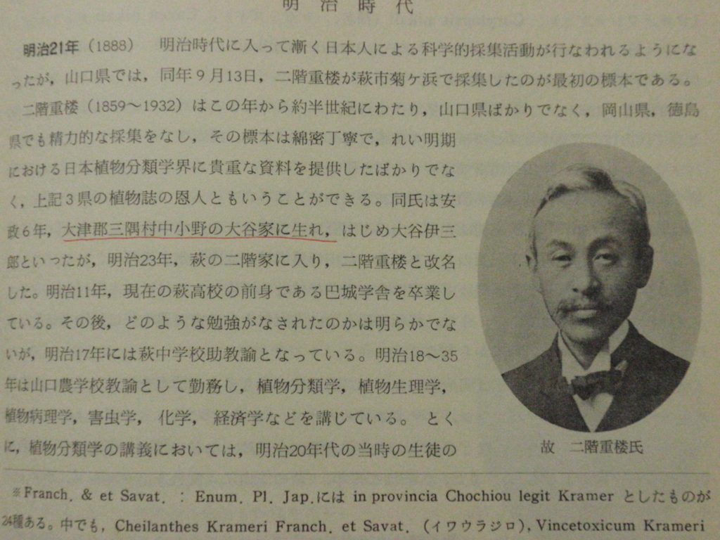 f:id:chuumeikun:20180203024503j:plain