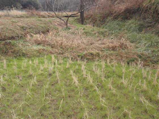 f:id:chuumeikun:20180204140830j:plain f:id:chuumeikun:20180204140830j:plain