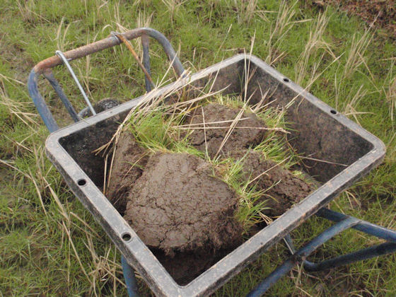 f:id:chuumeikun:20180204140849j:plain f:id:chuumeikun:20180204140849j:plain