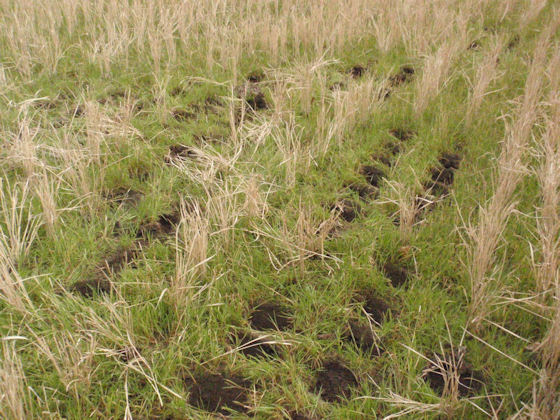 f:id:chuumeikun:20180204140907j:plain f:id:chuumeikun:20180204140907j:plain