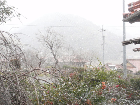 f:id:chuumeikun:20180204140924j:plain f:id:chuumeikun:20180204140924j:plain