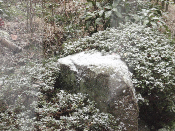 f:id:chuumeikun:20180204140941j:plain f:id:chuumeikun:20180204140941j:plain