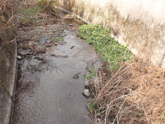 f:id:chuumeikun:20180210004419j:plain f:id:chuumeikun:20180210004419j:plain