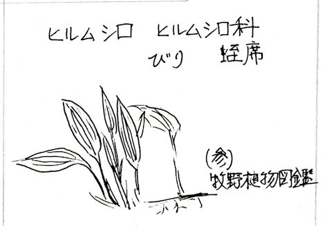 f:id:chuumeikun:20180225045428j:plain f:id:chuumeikun:20180225045428j:plain