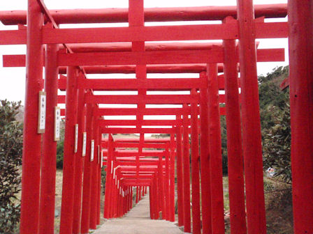 f:id:chuumeikun:20180225045520j:plain f:id:chuumeikun:20180225045520j:plain