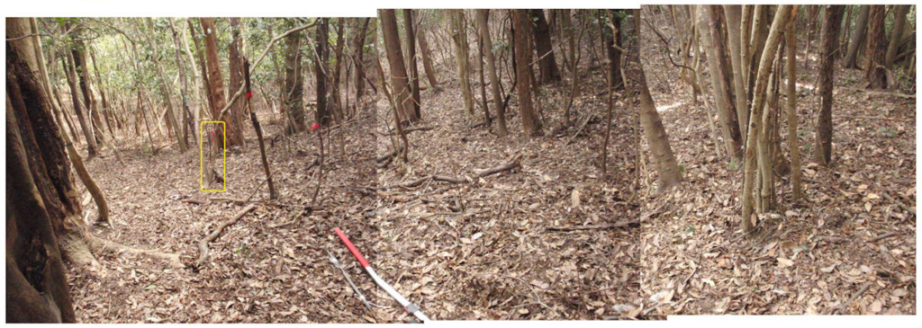 f:id:chuumeikun:20180226185645j:plain f:id:chuumeikun:20180226185645j:plain