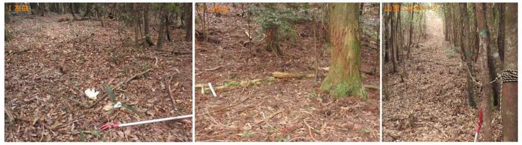 f:id:chuumeikun:20180227090151j:plain f:id:chuumeikun:20180227090151j:plain