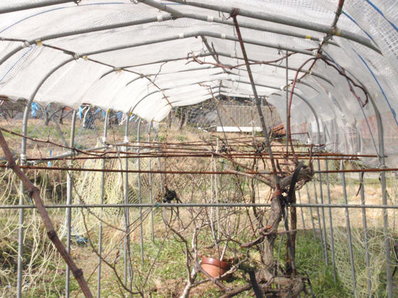 f:id:chuumeikun:20180302191502j:plain