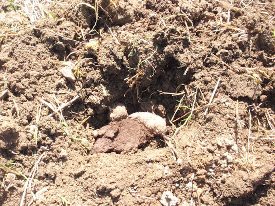 f:id:chuumeikun:20180319002206j:plain