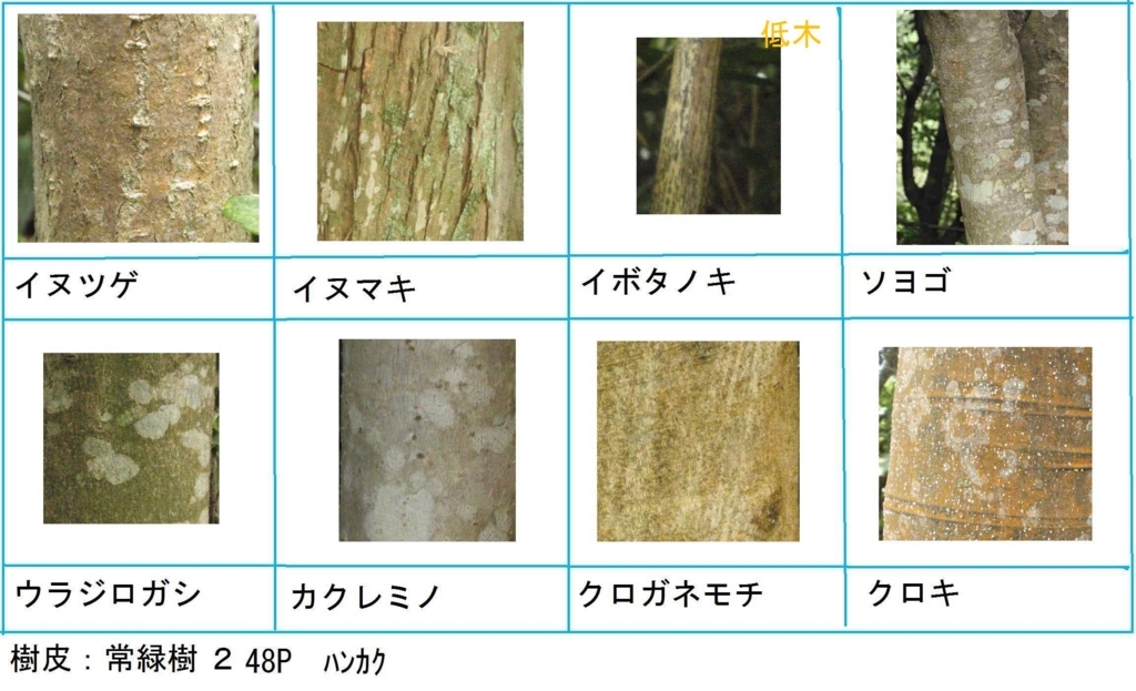 f:id:chuumeikun:20180322021800j:plain