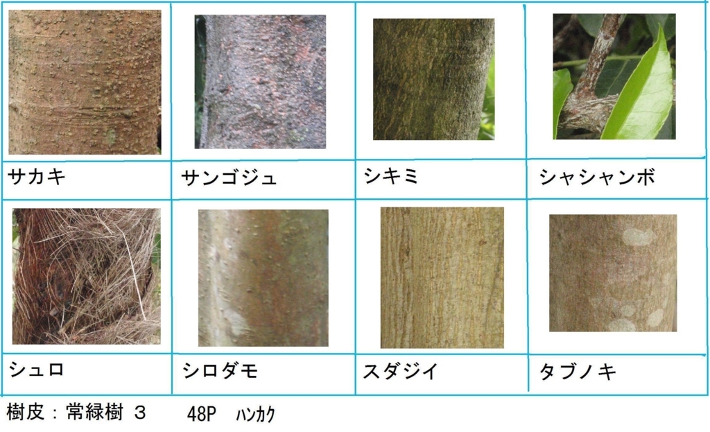 f:id:chuumeikun:20180322021819j:plain