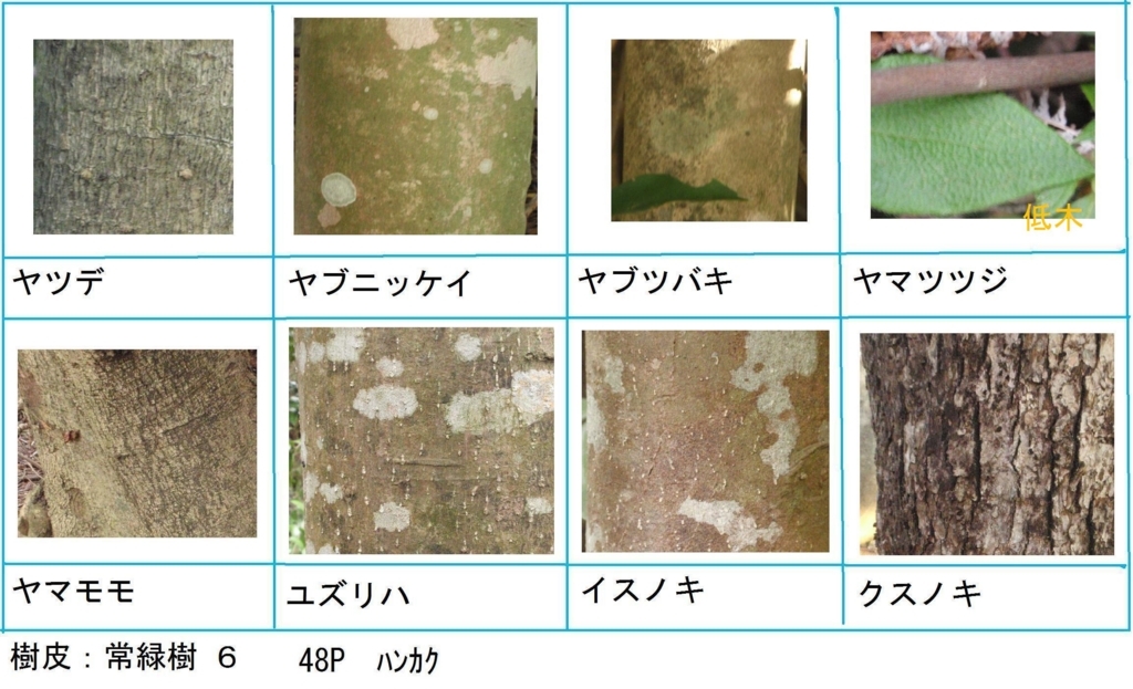 f:id:chuumeikun:20180322021917j:plain