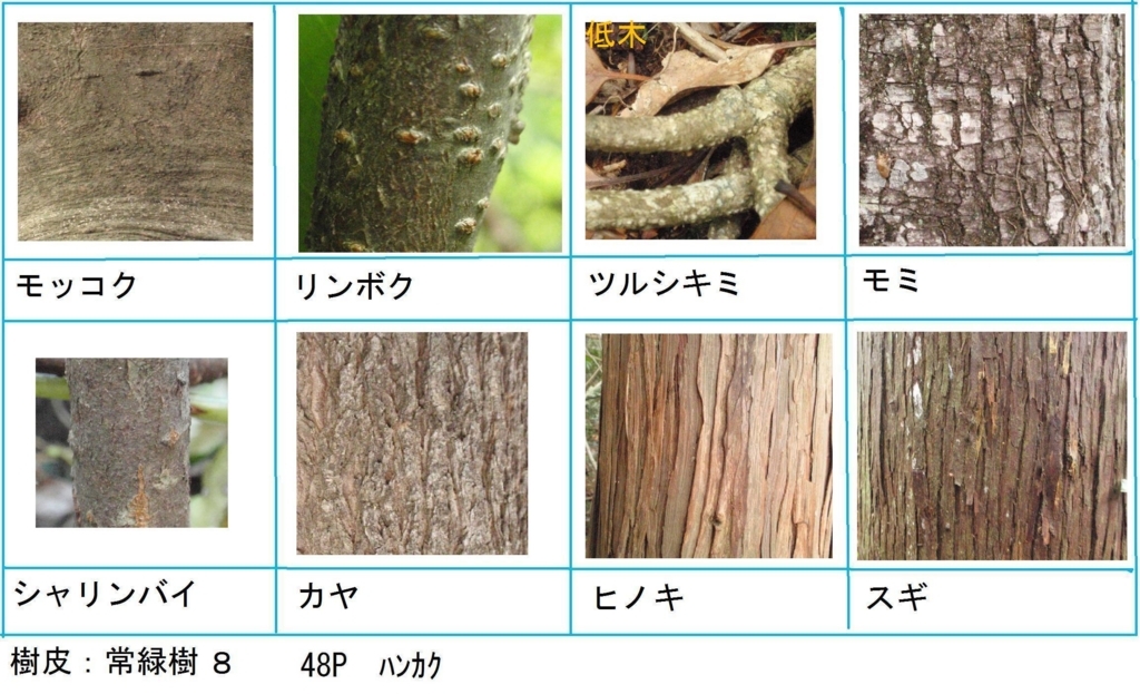 f:id:chuumeikun:20180322021955j:plain