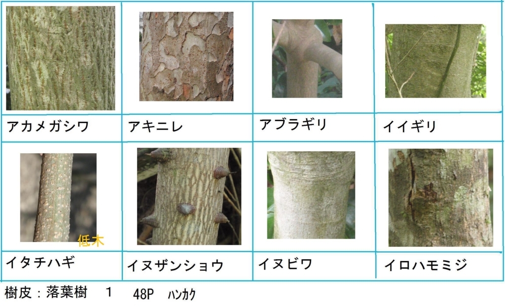 f:id:chuumeikun:20180323000643j:plain