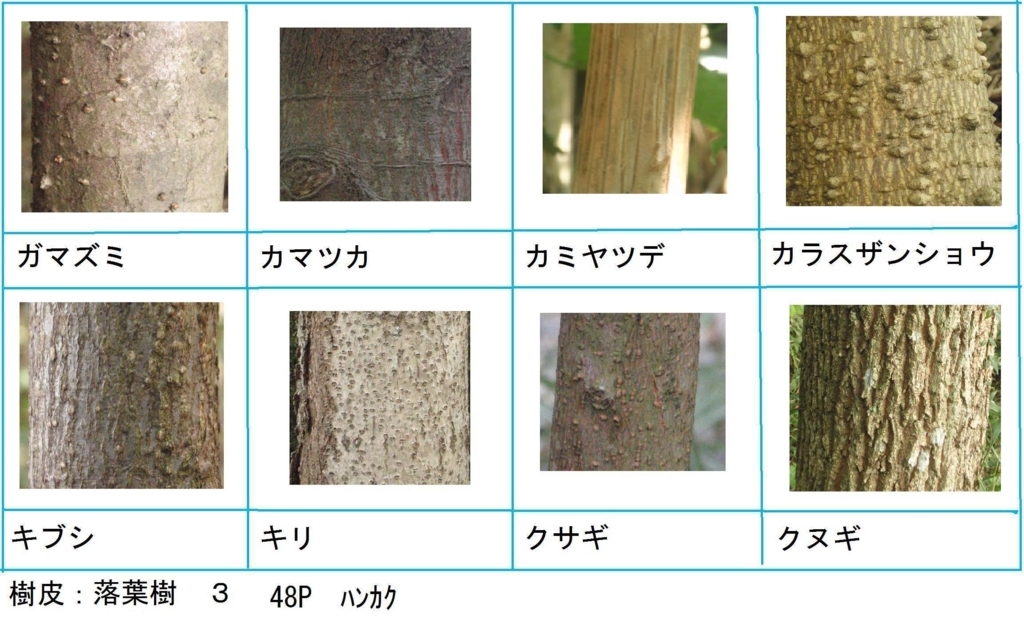 f:id:chuumeikun:20180323000731j:plain