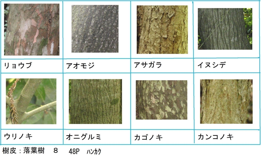 f:id:chuumeikun:20180323000916j:plain