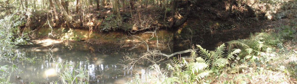 f:id:chuumeikun:20180327184810j:plain