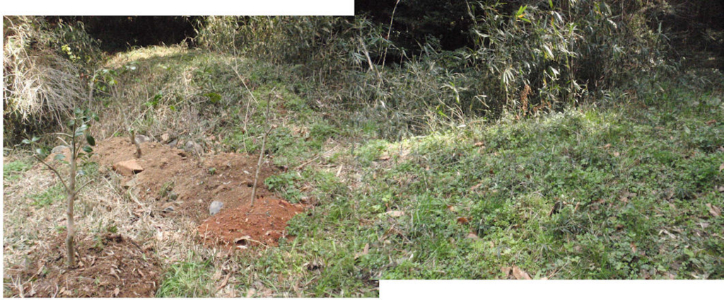 f:id:chuumeikun:20180327184827j:plain