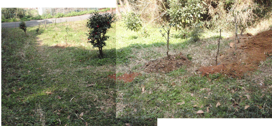 f:id:chuumeikun:20180327184845j:plain