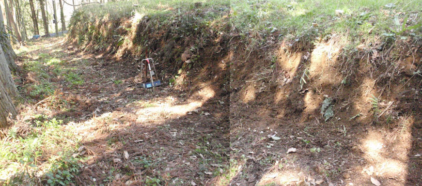 f:id:chuumeikun:20180328163634j:plain f:id:chuumeikun:20180328163634j:plain