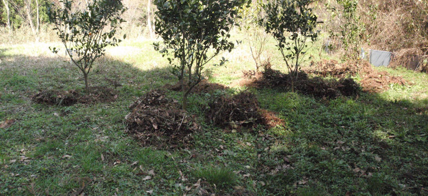 f:id:chuumeikun:20180328163753j:plain f:id:chuumeikun:20180328163753j:plain