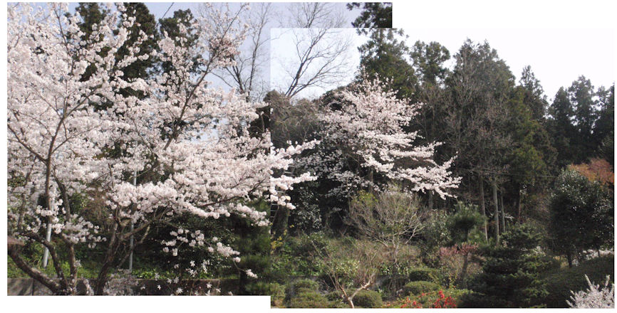 f:id:chuumeikun:20180329183841j:plain