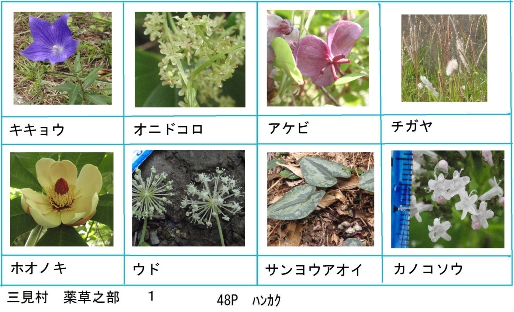 f:id:chuumeikun:20180330193430j:plain