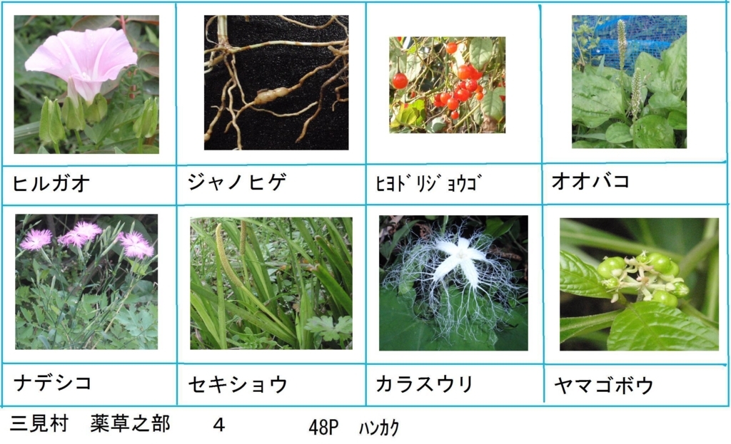 f:id:chuumeikun:20180330193546j:plain