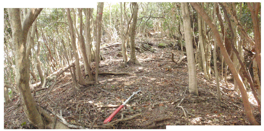 f:id:chuumeikun:20180410203958j:plain f:id:chuumeikun:20180410203958j:plain