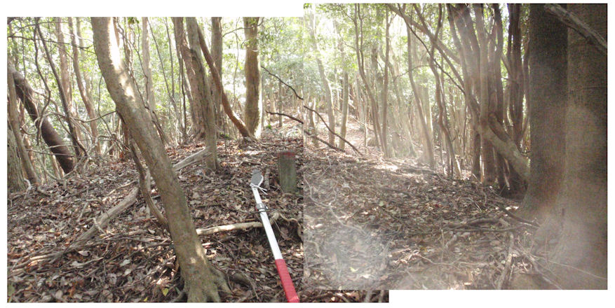 f:id:chuumeikun:20180410204019j:plain f:id:chuumeikun:20180410204019j:plain