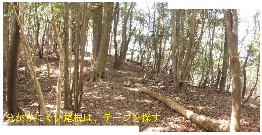 f:id:chuumeikun:20180410204041j:plain f:id:chuumeikun:20180410204041j:plain