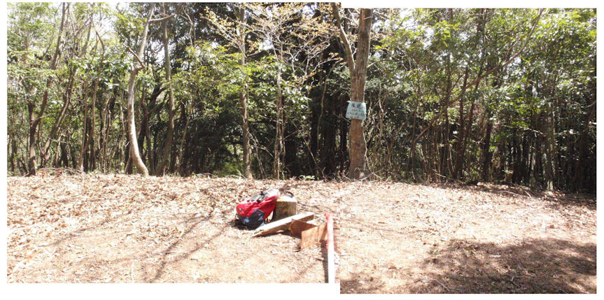 f:id:chuumeikun:20180410204124j:plain f:id:chuumeikun:20180410204124j:plain