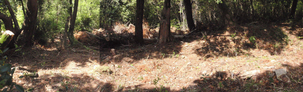 f:id:chuumeikun:20180430131136j:plain f:id:chuumeikun:20180430131136j:plain