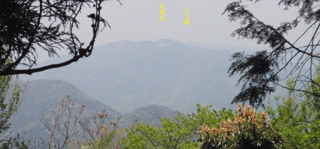 f:id:chuumeikun:20180430132004j:plain f:id:chuumeikun:20180430132004j:plain