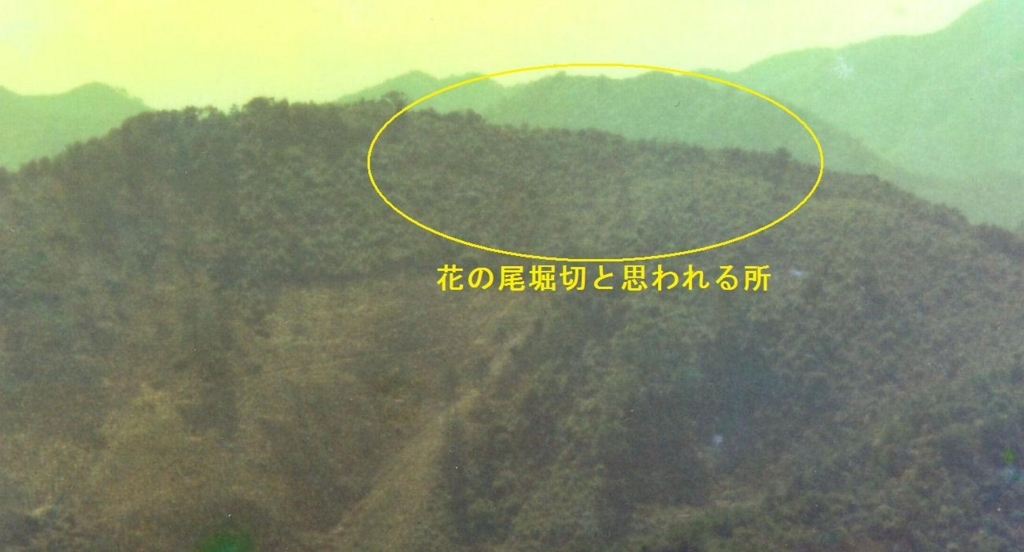 f:id:chuumeikun:20180510003820j:plain