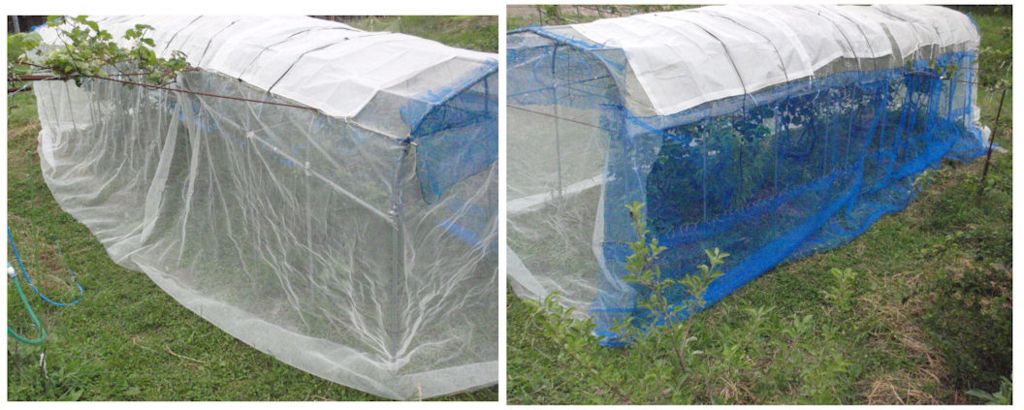 f:id:chuumeikun:20180531200842j:plain f:id:chuumeikun:20180531200842j:plain