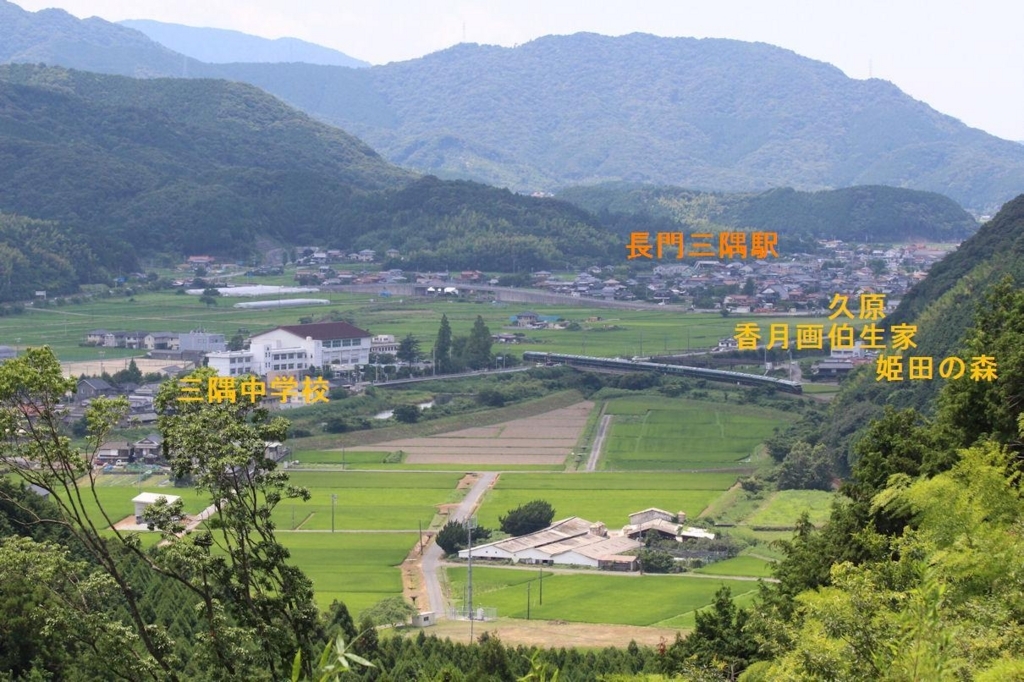 f:id:chuumeikun:20180606222155j:plain