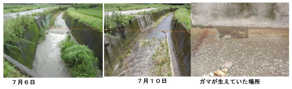 f:id:chuumeikun:20180710195523j:plain