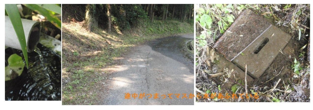 f:id:chuumeikun:20180723204522j:plain f:id:chuumeikun:20180723204522j:plain